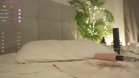 Lily dont forget to follow me  good to see you all online show from February 2025 10:20:02 PM