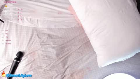 Lily dont forget to follow me  good to see you all online show from February 2025 09:11:01 AM