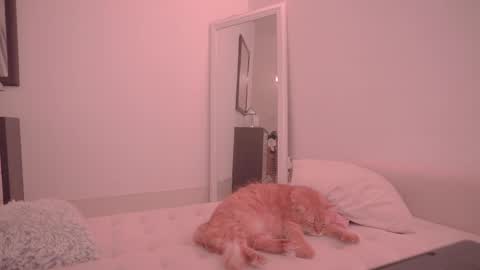 Ariel online show from October 2025 09:26:02 PM