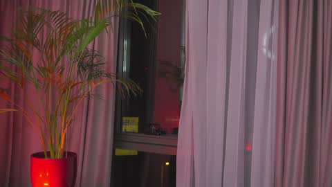 Nicolle online show from January 2025 01:11:01 AM