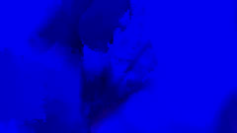 Snapshot of onurkneespls chatting on September 2025 12:05:01 AM onurkneespls online show from September 2025 12:05:01 AM