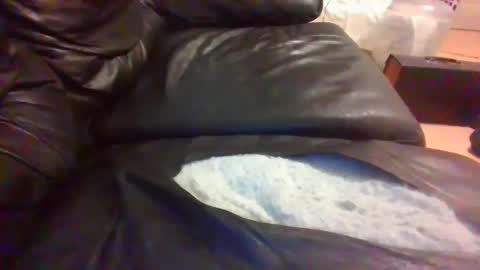 Snapshot of oofers123jvgf chatting on March 2025 09:46:02 AM oofers123jvgf online show from March 2025 09:46:02 AM