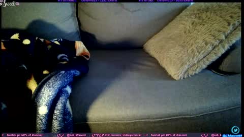  OF - Ooh 69sweet SNAP4LIFE OFFLINE  899 normal  VIP 1369 outside  online show from November 2025 01:00:02 PM