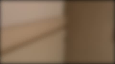 or online show from February 2025 09:32:02 AM