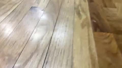 Super Soaker Oreo World online show from November 2025 05:02:01 PM