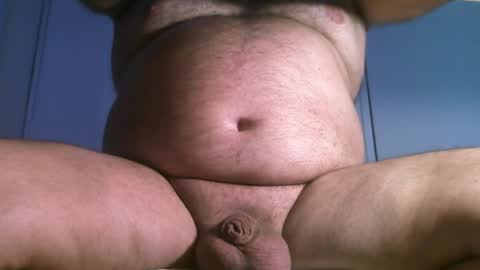 Oso Licencioso online show from March 2026 04:40:01 PM