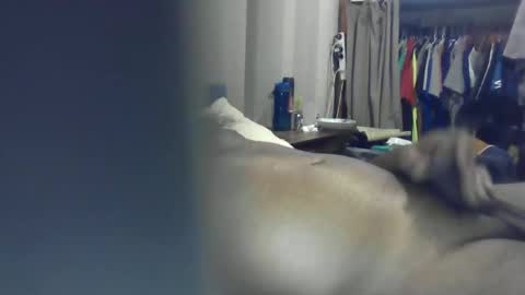 ozchaad online show from January 2026 01:05:02 PM