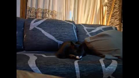 Snapshot of p326032 chatting on November 2025 08:54:02 PM p326032 online show from November 2025 08:54:02 PM