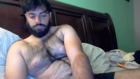 p_a1996 online show from November 2025 11:34:01 AM