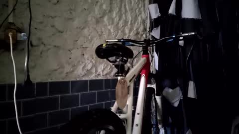 pablouyu online show from January 2025 01:05:02 PM