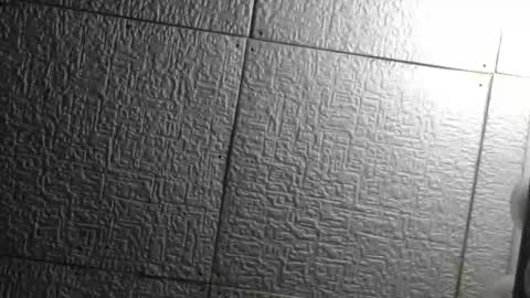 Superfeno online show from April 2026 05:10:01 AM