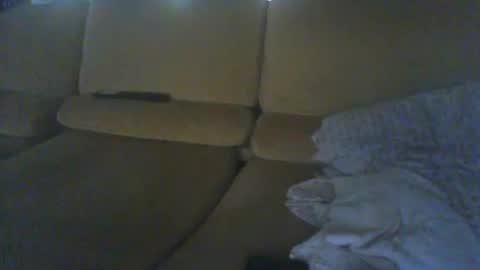 pallavolista73 online show from July 2026 05:30:01 PM