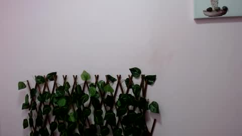 Snapshot of pamela_claus chatting on January 2025 12:18:01 AM Pamela Claus online show from January 2025 12:18:01 AM