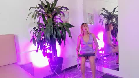 Pamela  online show from January 2026 01:04:01 PM