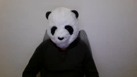 Snapshot of panda_feliz chatting on December 2024 07:10:01 PM Panda online show from December 2024 07:10:01 PM