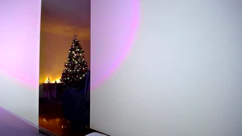 pandora__1 online show from November 2025 02:11:02 AM