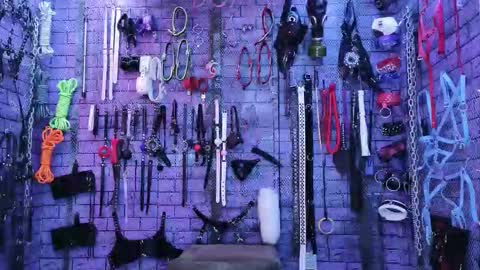 PandoraNez online show from February 2026 03:34:02 AM