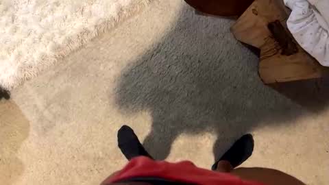 Alone online show from January 2026 08:55:01 PM