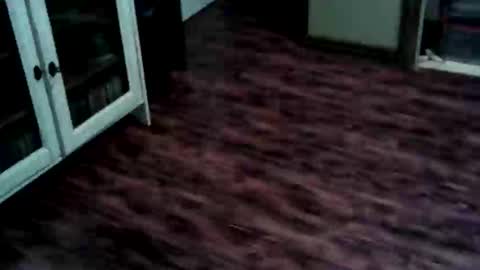 Snapshot of papous41 chatting on May 2026 03:51:01 PM Ricky online show from May 2026 03:51:01 PM