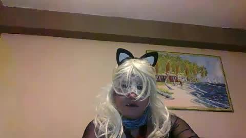 aventuras en pelotas online show from March 2025 07:17:01 PM