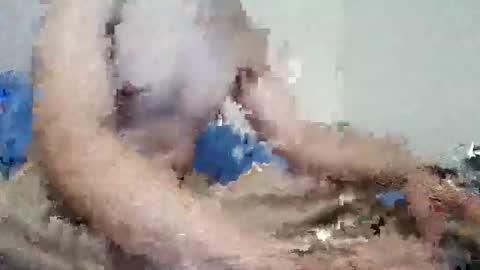 parejitafiel2309 online show from November 2025 08:18:01 PM