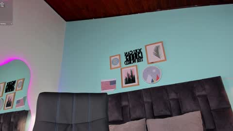 Snapshot of parisfox_ chatting on January 2025 11:51:01 PM PARIS online show from January 2025 11:51:01 PM