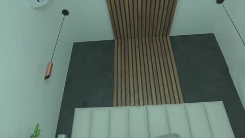 Snapshot of parisfox_ chatting on February 2025 11:48:01 PM PARIS online show from February 2025 11:48:01 PM