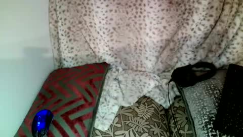 Snapshot of parlay0028 chatting on December 2024 10:40:02 PM Parlay tellio online show from December 2024 10:40:02 PM