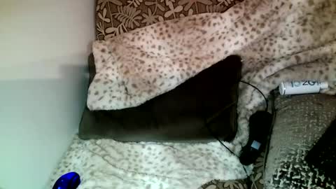 Snapshot of parlay0028 chatting on December 2024 10:33:02 PM Parlay tellio online show from December 2024 10:33:02 PM