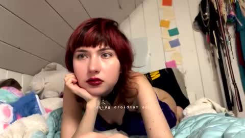 pastlpawz online show from April 2026 10:08:02 PM