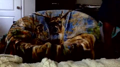 patdaddy12 online show from April 2026 09:50:02 PM