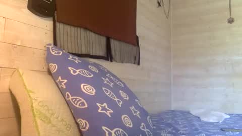 Pati24 online show from April 2026 08:02:02 AM