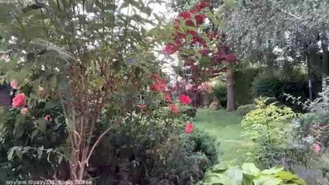 Andreea online show from June 2026 05:57:02 AM