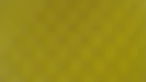 patty squirt87 online show from February 2025 05:49:02 AM