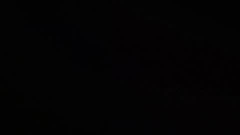      online show from December 2024 12:16:02 PM