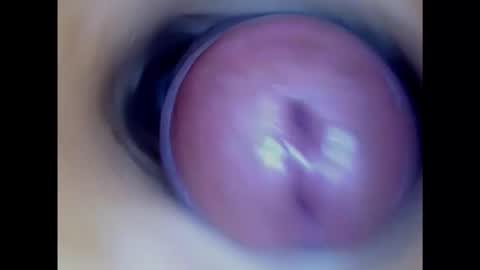 Snapshot of paulainoscente chatting on January 2025 03:53:02 PM Paula 18 Aninhos online show from January 2025 03:53:02 PM