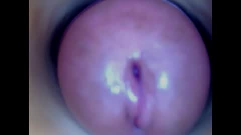 Snapshot of paulainoscente chatting on February 2025 05:10:01 AM Paula 18 Aninhos online show from February 2025 05:10:01 AM