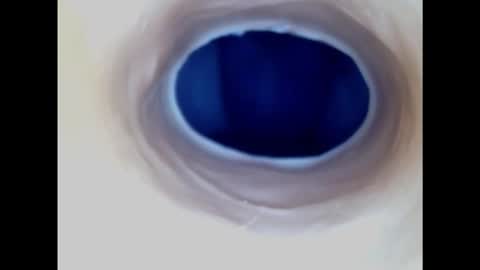 Paula 18 Aninhos online show from November 2025 05:24:01 AM