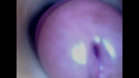 Paula 18 Aninhos online show from February 2026 06:13:01 AM