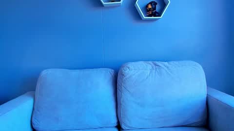 Paul Phoenix online show from October 2025 08:07:01 PM