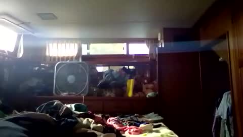 Pavone splash online show from January 2026 08:21:02 PM