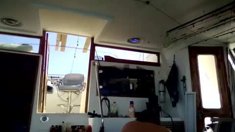 Pavone splash online show from January 2026 03:58:02 PM