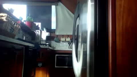 Pavone splash online show from March 2026 09:10:01 PM