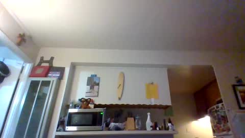 Snapshot of pawgkiller chatting on October 2025 02:33:01 AM pawgkiller online show from October 2025 02:33:01 AM