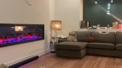 Effyyyyy online show from April 2026 04:46:02 AM