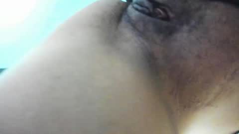 Tangerine Penaut online show from December 2024 05:04:02 AM