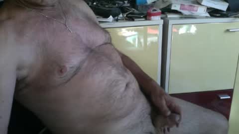 Snapshot of pegaso1000 chatting on July 2026 07:43:01 AM pegaso1000 online show from July 2026 07:43:01 AM