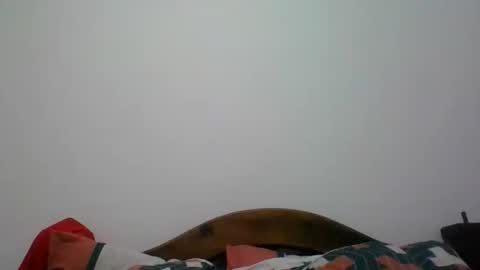 Snapshot of penegro358 chatting on June 2026 02:05:02 AM penegro358 online show from June 2026 02:05:02 AM