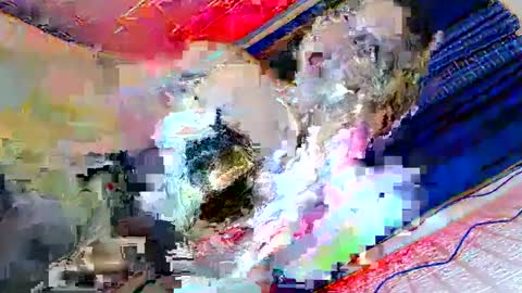 call me angel online show from March 2025 05:00:02 AM