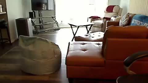 perfecto1957 online show from October 2025 05:56:02 PM